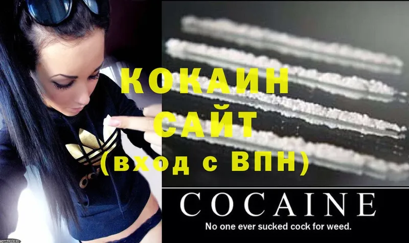 закладки  Лермонтов  COCAIN FishScale 